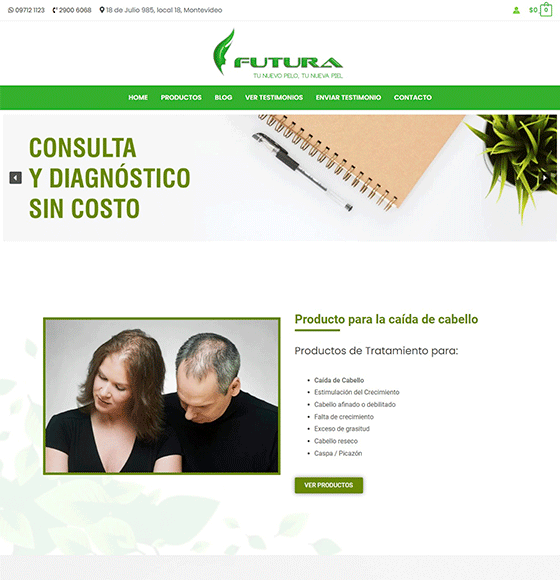 freelance-mexico-paginas-web